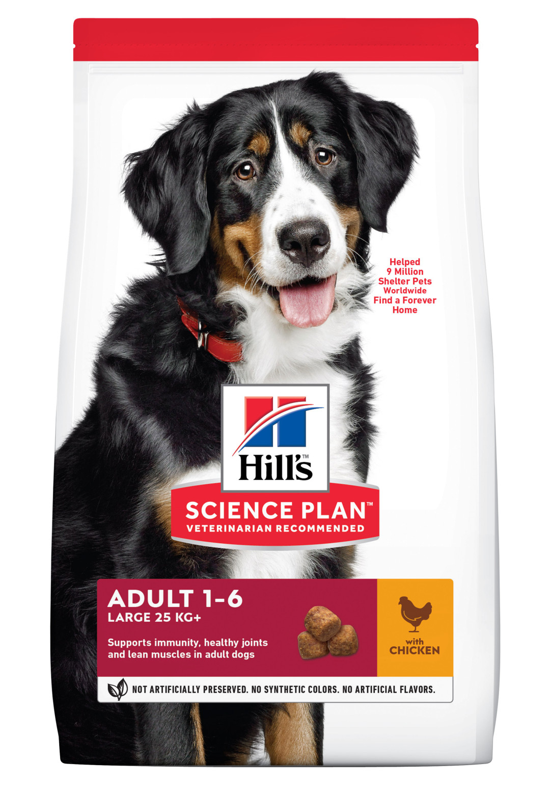 Hill's Science Plan Adult Large Breed kip 12 kg